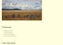create and design websites